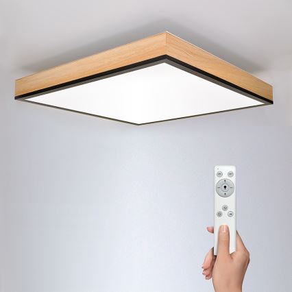 LED prigušiva stropna svetiljka LED/40W/230V 3000-6500K + daljinski upravljač