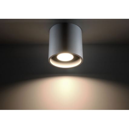 Spot svetlo ORBIS 1 1xGU10/10W/230V sivo