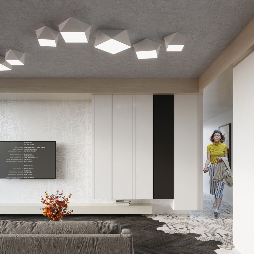 Plafonsko svetlo HEXA 1xE27/60W/230V belo