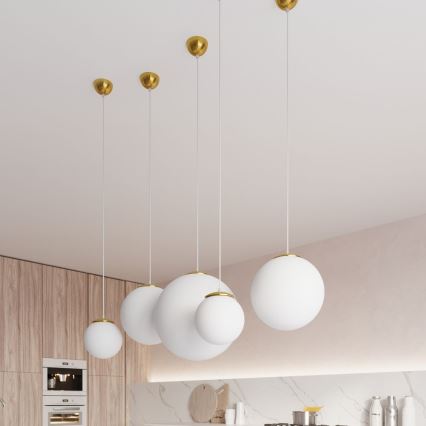 Luster na sajli TOYA 1xE27/60W/230V Ø 20 cm bela/zlatna