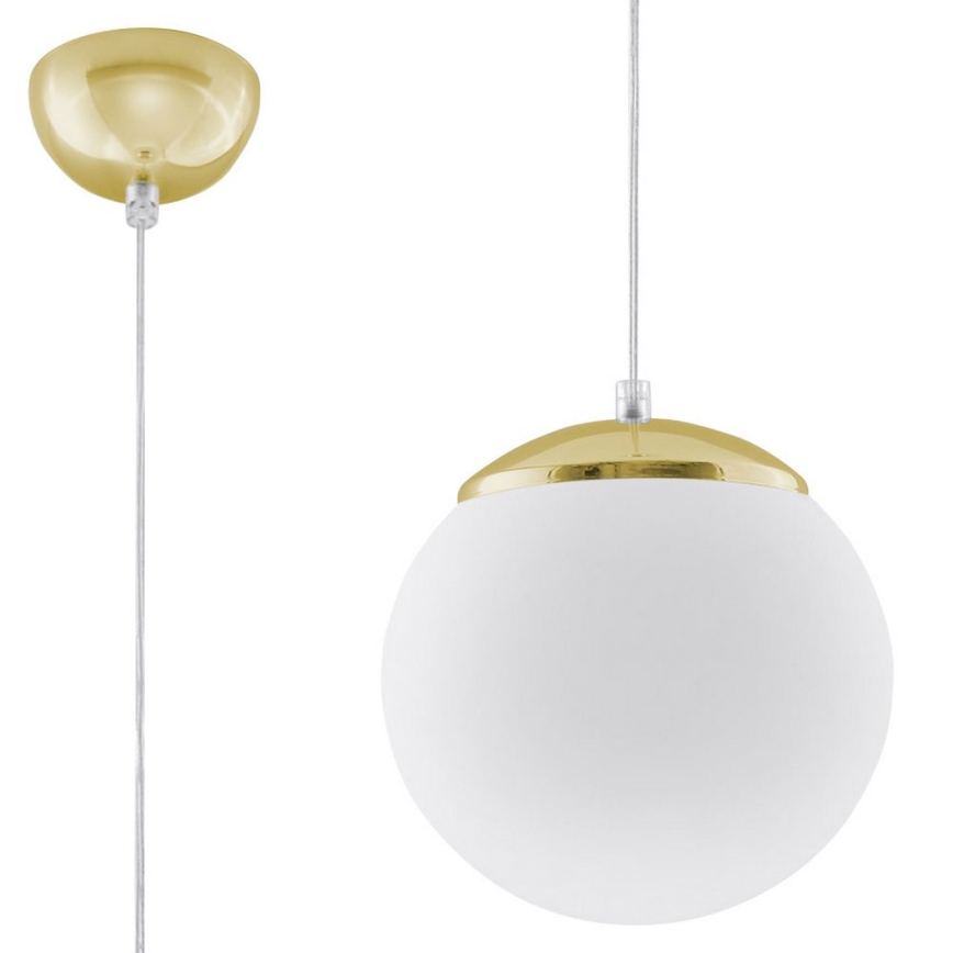 Luster na sajli TOYA 1xE27/60W/230V Ø 20 cm bela/zlatna