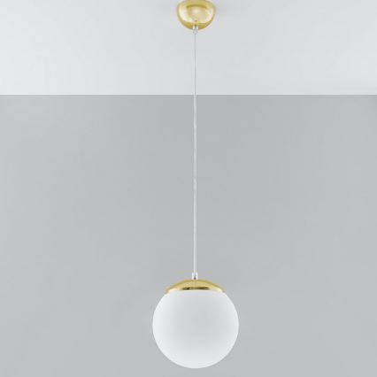 Luster na sajli TOYA 1xE27/60W/230V Ø 20 cm bela/zlatna