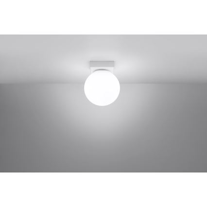 Plafonsko svetlo YOLI 1xG9/12W/230V belo