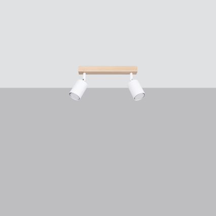Stropna spot svetiljka VERDO 2xGU10/10W/230V bela/buk