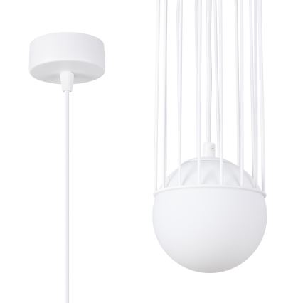 Luster na sajli BRINA 1xG9/8W/230V bela