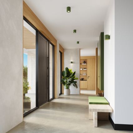 Zidna reflektorska svetiljka ORBIS 1xG9/8W/230V beton/zelena