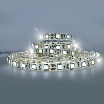 Spoljašnja LED traka LED/72W/12V 5m IP65 hladna bela