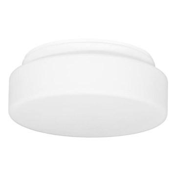 Spoljašnja stropna svetiljka HECTOR 1xE27/60W/230V, prečnik 25 cm, IP44, opalno-bela