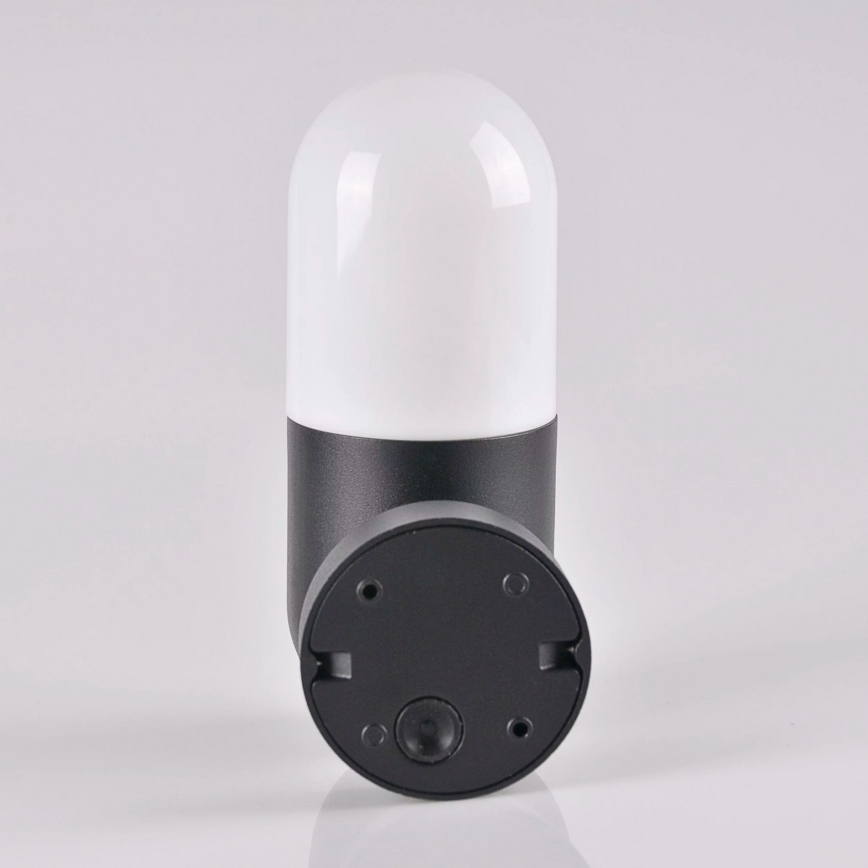 Spoljašnja zidna svetiljka HORTEN 1xE27/10W/230V IP44