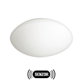 Spoljašnje svetlo sa senzorom PETRA 1xE27/60W/230V, opalno staklo, IP44