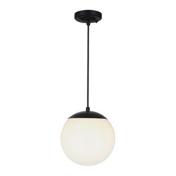 Spoljašnji luster na sajli 1xE27/60W/230V prečnik 20 cm IP44 crna