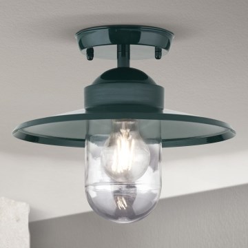 Spoljašnji plafonski luster EDWARD 1xE27/60W/230V IP44 zelena