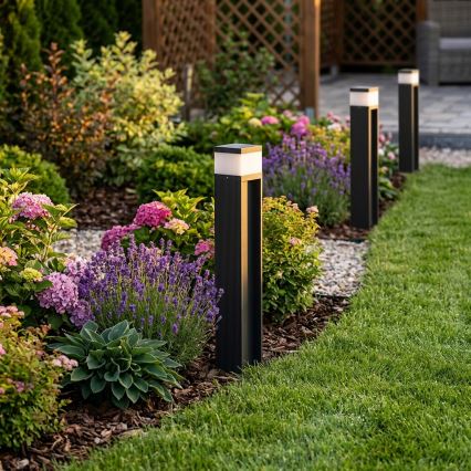 Spoljna lampa VESPER 1xG9/5W/230V IP44 50 cm crna
