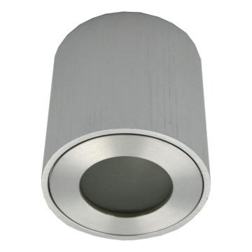 Spoljna reflektorska svetiljka FARA 1xGU10/30W/230V IP54, srebrna