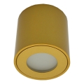 Spoljna reflektorska svetiljka FARA 1xGU10/30W/230V IP54 zlatna