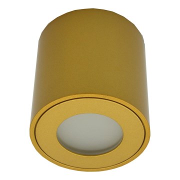 Spoljna reflektorska svetiljka FARA 1xGU10/30W/230V IP54 zlatna