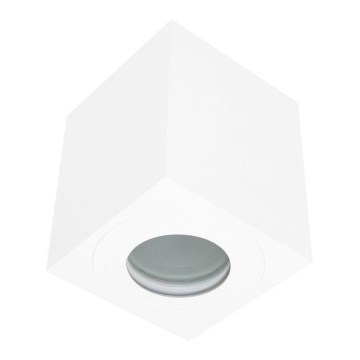 Spoljna spot svetiljka SARA 1xGU10/30W/230V IP54 bela