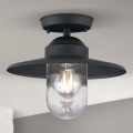 Spoljni plafonski luster EDWARD 1xE27/60W/230V IP44 antracit