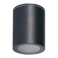 Spoljni reflektor AQILO 1xGU10/7W/230V IP65 antracit