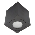 Spoljno reflektorsko svetlo SARA 1xGU10/30W/230V IP54 crno