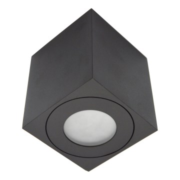 Spoljno reflektorsko svetlo SARA 1xGU10/30W/230V IP54 crno