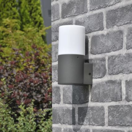 Spoljno zidno svetlo DALLAS 1xE27/12W/230V IP44 antracit