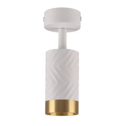 Spot svetiljka ARRAS 1xGU10/10W/230V, bela