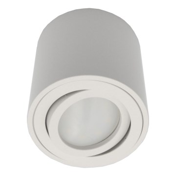 Spot svetiljka FEBE 1xGU10/30W/230V, bela