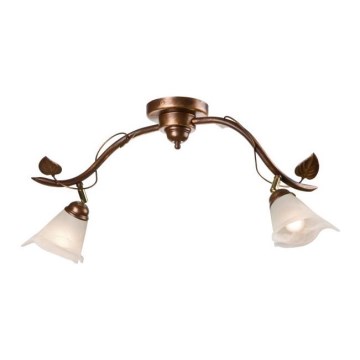 Spot svetiljka IVY 2xE14/40W/230V