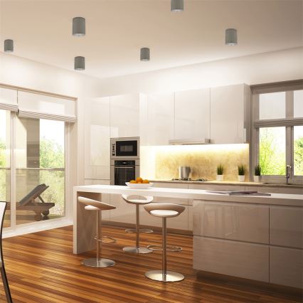 Spot svetiljka JUPITER 1xE27/20W/230V, prečnik 9,8 cm, siva