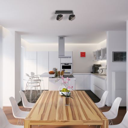 Spot svetiljka LOGAN 2xE14/40W/230V