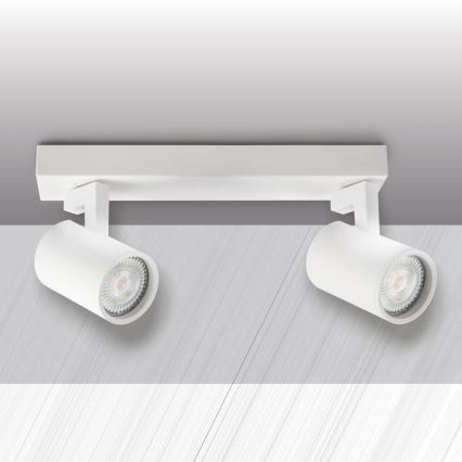 Spot svetiljka LYNX 2xGU10/10W/230V bela