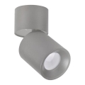 Spot svetiljka NIXA 1xGU10/10W/230V siva