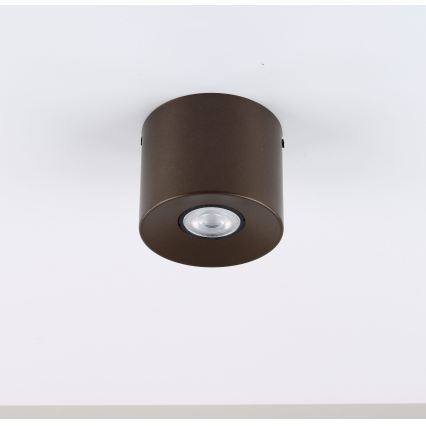 Spot svetiljka ORION 1xGU10/10W/230V 9 cm braon