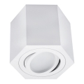 Spot svetlo ARENO 1xGU10/30W/230V belo