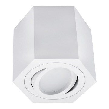 Spot svetlo ARENO 1xGU10/30W/230V belo