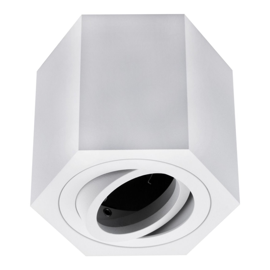 Spot svetlo ARENO 1xGU10/30W/230V belo