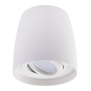 Spot svetlo BESA 1xGU10/30W/230V belo