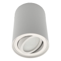 Spot svetlo CORONA 1xGU10/30W/230V, belo