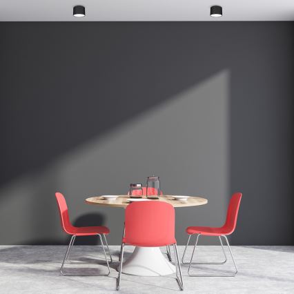 Spot svetlo DIXIE 1xGX53/11W/230V crno