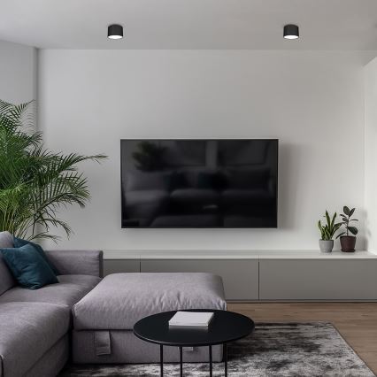 Spot svetlo DIXIE 1xGX53/11W/230V crno