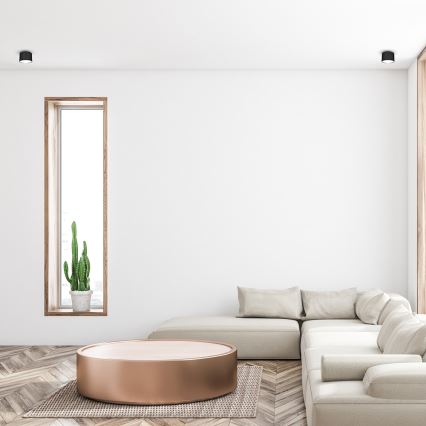 Spot svetlo DIXIE 1xGX53/11W/230V crno