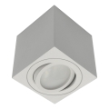 Spot svetlo FEBE 1xGU10/30W/230V belo