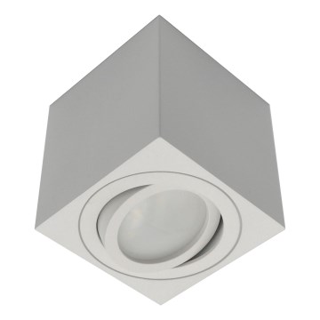 Spot svetlo FEBE 1xGU10/30W/230V belo