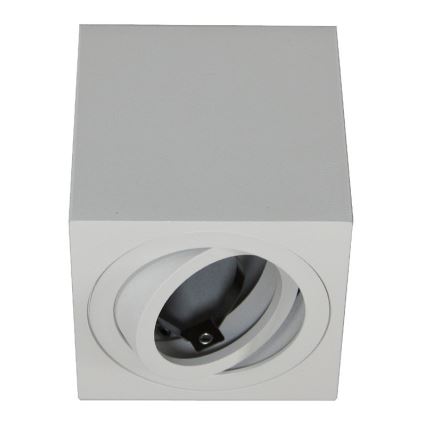 Spot svetlo FEBE 1xGU10/30W/230V belo