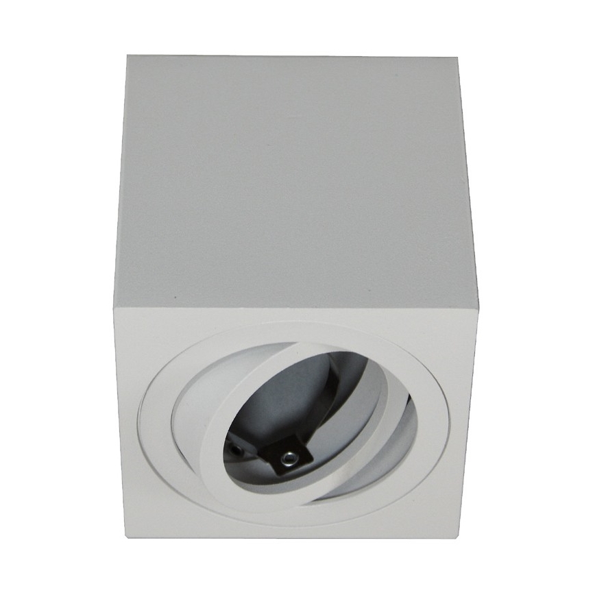 Spot svetlo FEBE 1xGU10/30W/230V belo