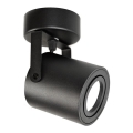 Spot svetlo PIREUS 1xGU10/30W/230V crna