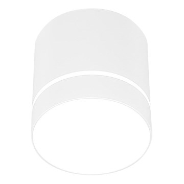 Spot svetlo TUBA 1xGU10/15W/230V belo
