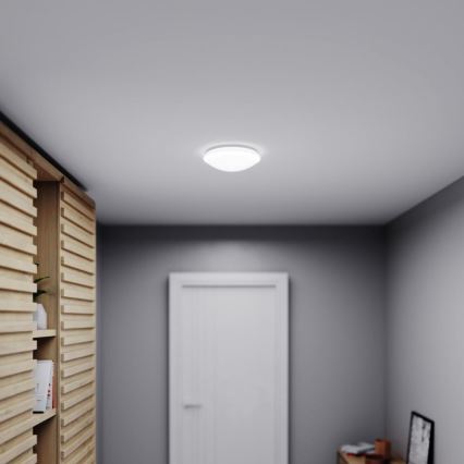 STEINEL 035105 - Kupatilsko svetlo sa senzorom RS 16 LED G LED/9,5W/230V IP44