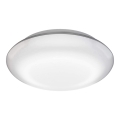 Steinel 035440 - LED spoljašnje plafonsko svetlo sa senzorom QUATTRO LED/10W/230V IP54